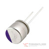 25PZS330M10X9 Image
